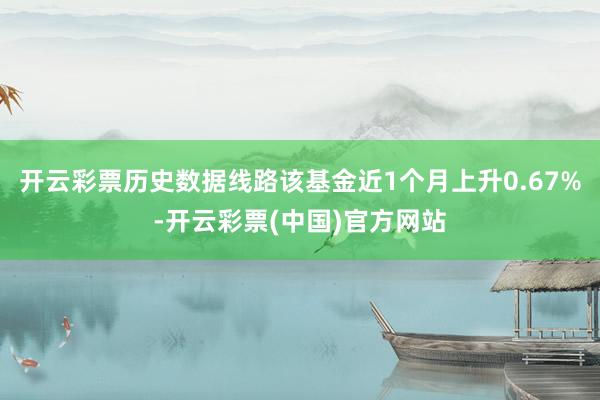 开云彩票历史数据线路该基金近1个月上升0.67%-开云彩票(中国)官方网站
