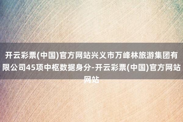 开云彩票(中国)官方网站兴义市万峰林旅游集团有限公司45项中枢数据身分-开云彩票(中国)官方网站