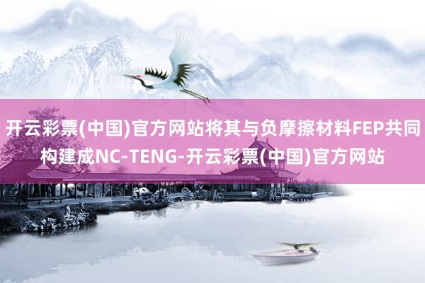 开云彩票(中国)官方网站将其与负摩擦材料FEP共同构建成NC-TENG-开云彩票(中国)官方网站